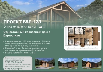 Каркасный дом 123 м³